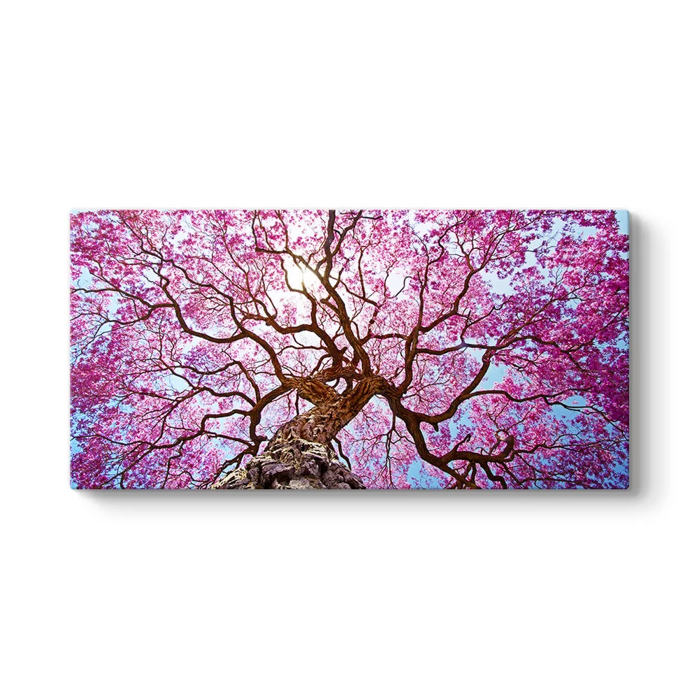 Pembe Lapaku Ağacı Tablosu - Model 5